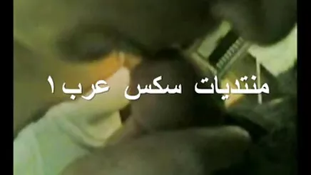 Irklararası seks, turk jale porno
