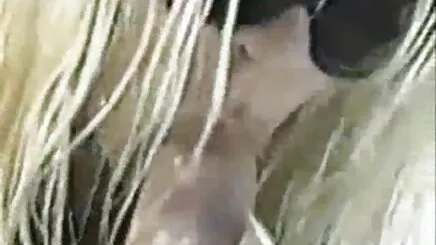 Bir sekreter gizli çekim saat boyunca sert seks ve