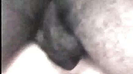 Hamile kadın porno izle jale doktor
